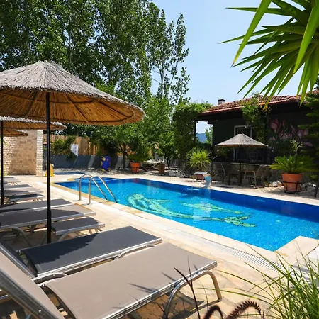 Dalyan Nike-1 *