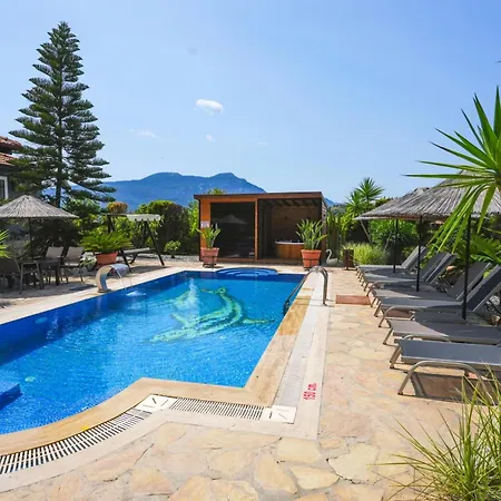 Vila Dalyan Nike-1